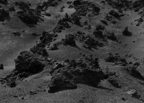 Natascha Libbert, Untitled 9850