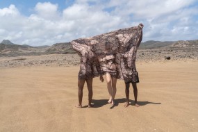 Anouk Kruithof, Head in the ground