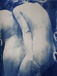 Julie van der Vaart, Entangled #4