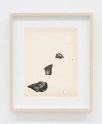 Adelheid De Witte, Straigt Forward