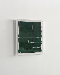 Tjitske Oosterholt, Dawn