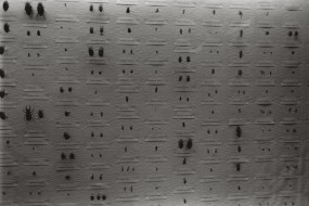 Dirk Braeckman, K.S.-G.E.-97