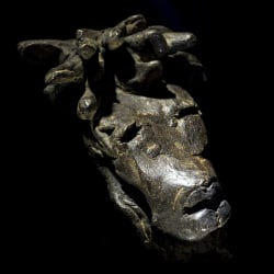 Ingrid Rollema, Citizen