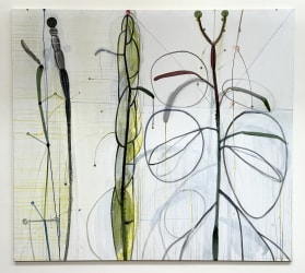 Warffemius, planten, cirkels en ovalen IV