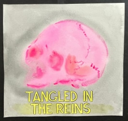 Guy Richards Smit, TANGLED  IN THE REINS