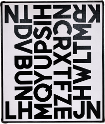 Gaston De Mey, Structuur PSIH