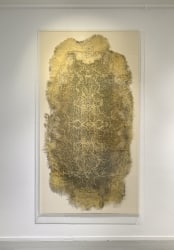 Diana Scherer, Apical 3