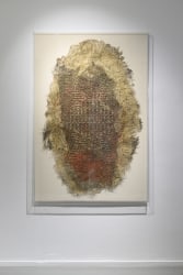 Diana Scherer, Apical #1