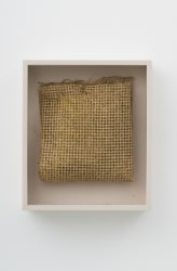 Diana Scherer, Hyper Rhizome