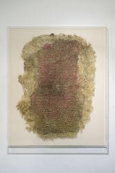 Diana Scherer, Apical # 9