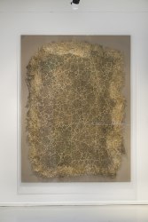 Diana Scherer, Hyper Rhizome #2