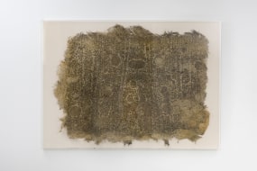 Diana Scherer, Hyper Rhizome # 7- 3