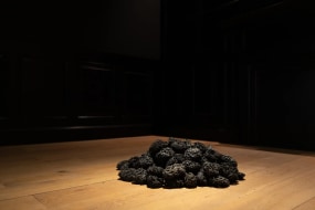 Rexy Tseng 曾慶強, Stardust to Soft Tissues