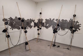 Karin van Dam, Vloedlagen in de Zeereep