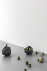 Matea Bakula, Core II