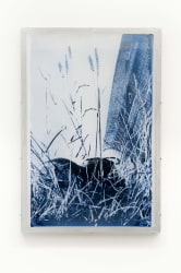 Jaya Pelupessy, Pictorial Fields, No. 16