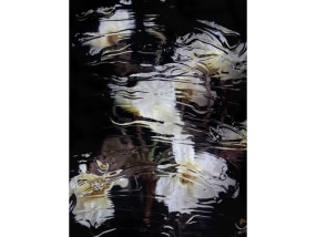 Sophie de Vos, Layers of perception