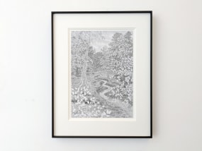 Tim ter Wal, autumn in forest