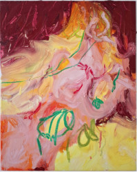 Sofie van Thiel, Untitled