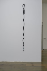 Jan van Munster, Hanging Brainwave