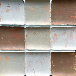 Robbert Fortgens, ZT