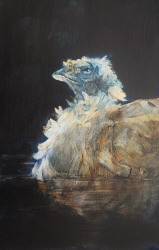 Matijs van de Kerkhof, Abracadabra