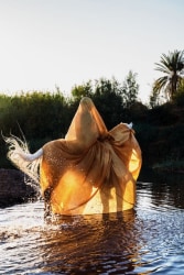 Sabrina Charehbili, Hidden Harmony