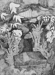 Rozemarijn Westerink, Mountain 02-24-376