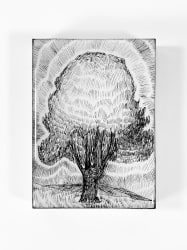 Rozemarijn Westerink, La Pâture 15-24-402