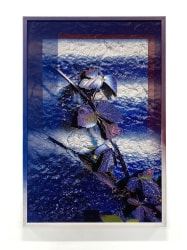 Annegret Kellner, Lustgarten 1