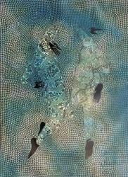 Sthenjwa Luthuli, Positive Fear