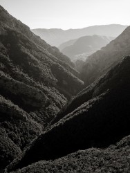 Stacii Samidin, Societies (Landscape series) Albania