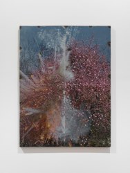 Joost Pauwaert, Spring 3