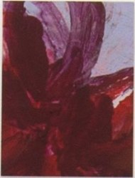 Diane Bogaerts, untitled