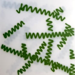 Jos van Merendonk, 2013-2-5