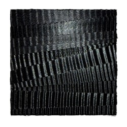 Wouter Nijland, 49.11