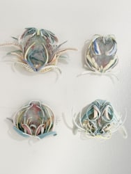 Joke Raes, Memorabilia Paris (nr. 1 - 4)