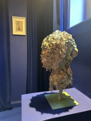 Joke Raes, Still Life Flora