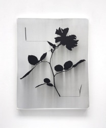 Michel Hoogervorst, A beginning, a finale, a beginning