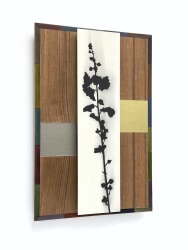 Michel Hoogervorst, If I only knew