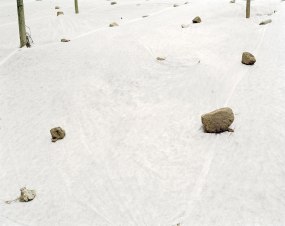 Antoinette Nausikaä, Covered ground, Xiamen