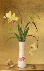 Bas Meeuws, Untitled (#209)