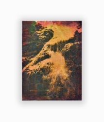 Anthony Ngoya, La Chute