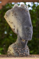 Tomáš Libertíny, Eternity (Black)