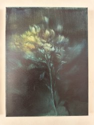 Thibo Moreels, Serie troost nr. 6