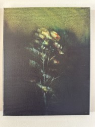 Thibo Moreels, Serie Troost nr. 2