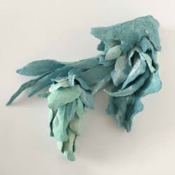 Marja Kennis, Z.t. Hybride Color  (Vijgtulpje)