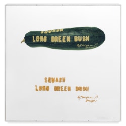 Sjoerd Buisman, Dongen, Squash (long green bush)