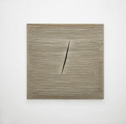 Lily de Bont, Concetto piatto