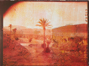 Douglas Mandry, Sans Titre (Tricolor V), from the series Les Archives de la Planète